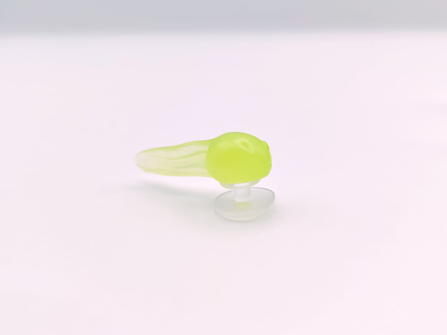 Tadpole Clog Charms