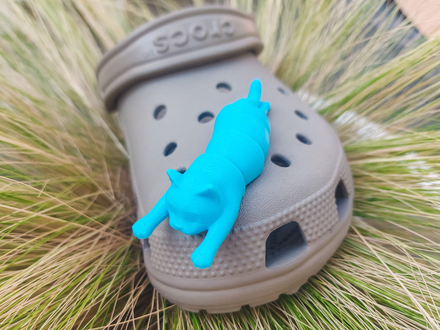 Flexi Cat Clog Charms