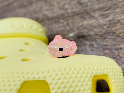 A close-up of a yellow shoe shoe with vibrant glow-in-the-dark chameleon charms in different colors (green, orange, pink, blue, and yellow) displayed outdoors on green grass.