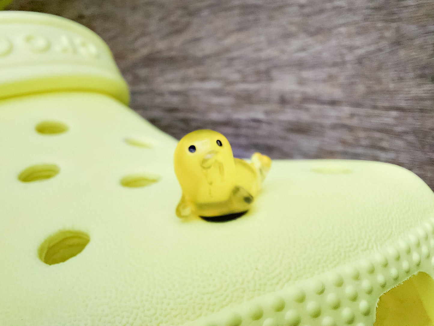A yellow shoe shoe adorned with colorful glow-in-the-dark seal charms in shades of pink, blue, green, yellow, and purple, set against a natural background with blades of grass.