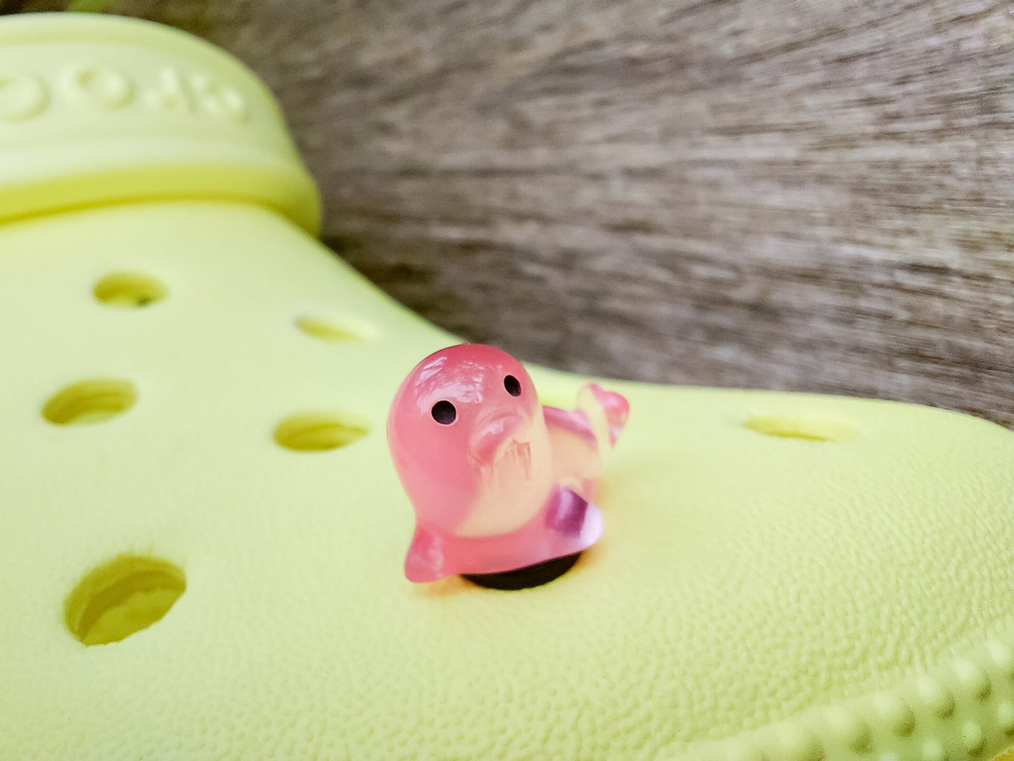 A yellow shoe shoe adorned with colorful glow-in-the-dark seal charms in shades of pink, blue, green, yellow, and purple, set against a natural background with blades of grass.