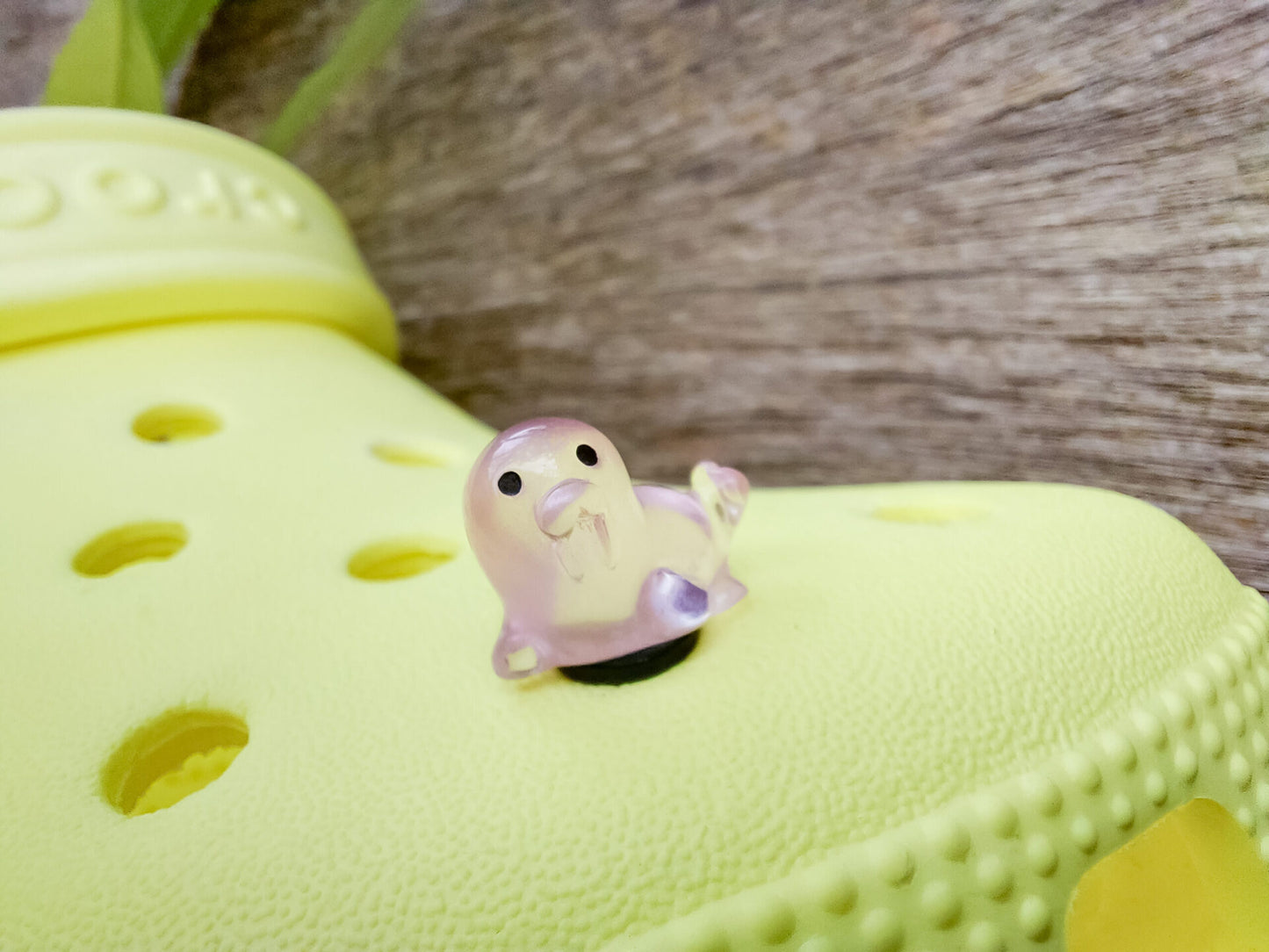 A yellow shoe shoe adorned with colorful glow-in-the-dark seal charms in shades of pink, blue, green, yellow, and purple, set against a natural background with blades of grass.