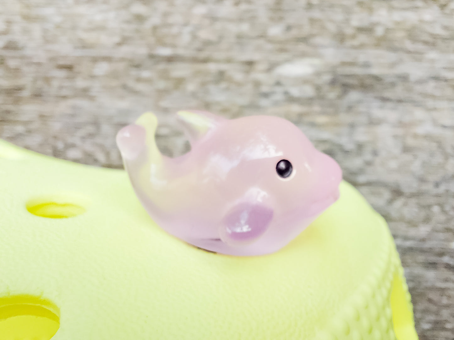Six glow-in-the-dark dolphin charms in various pastel colors, including purple, pink, orange, green, blue, and white, are arranged on a yellow shoes shoe. The dolphins have tiny black eyes and wide grins, giving them a playful and cute appearance.