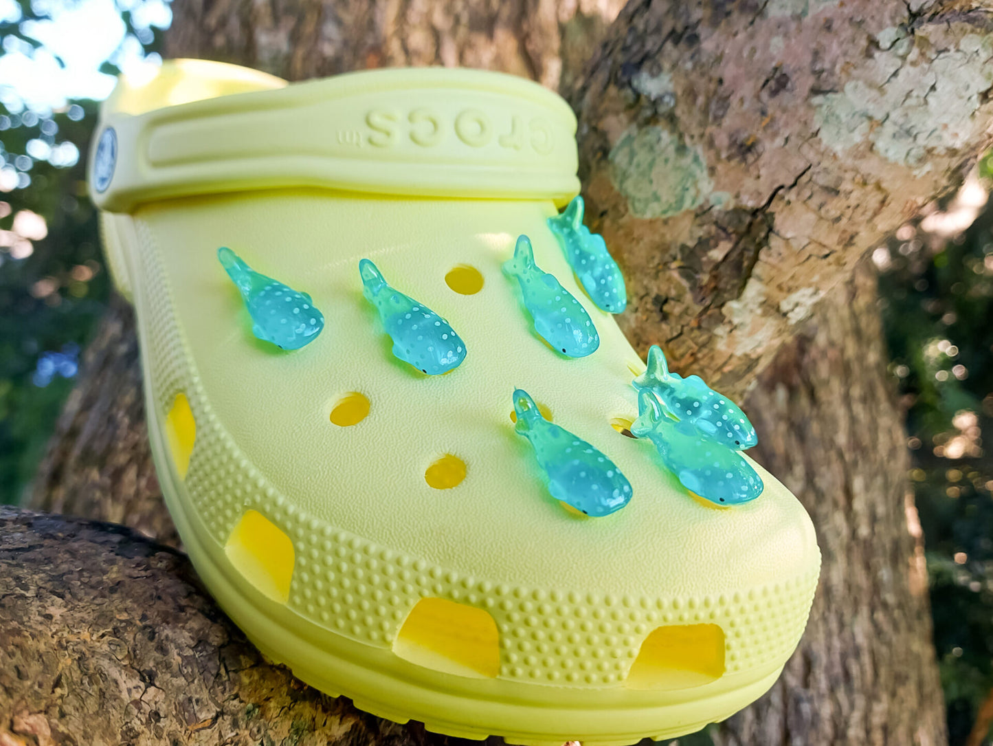 Whale shark shoe charms in turquoise blue with white spots, clipped onto a bright yellow pair of shoes shoes, adding a playful oceanic touch to the footwear.