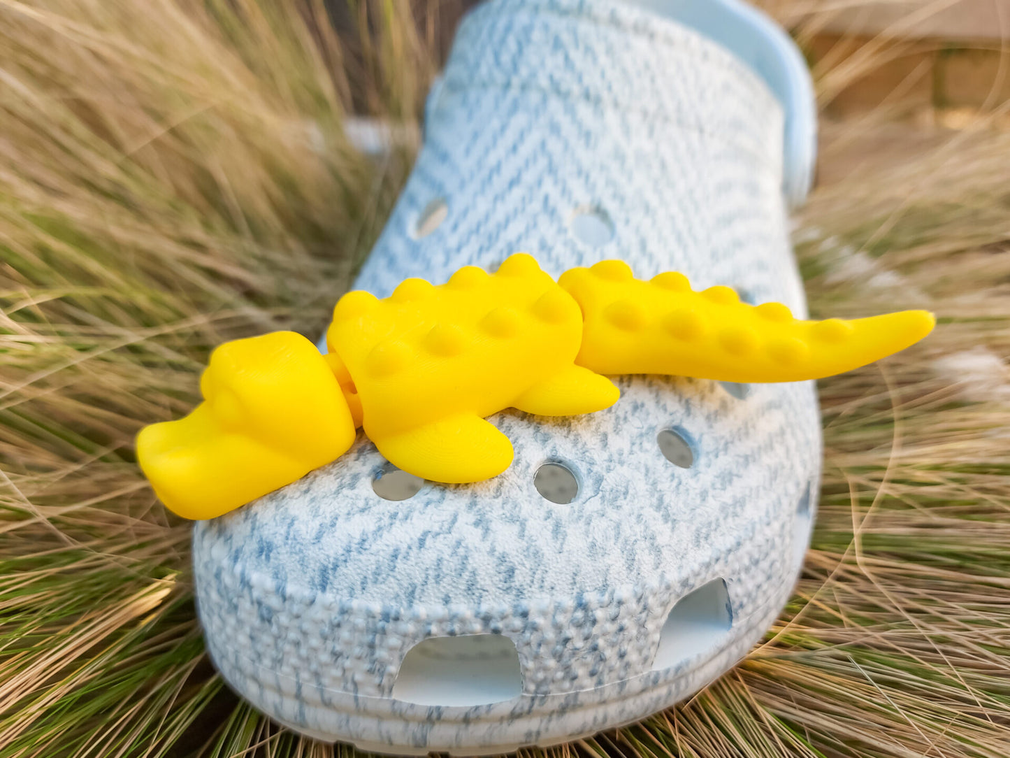 Flexi Crocodile Clog Charm
