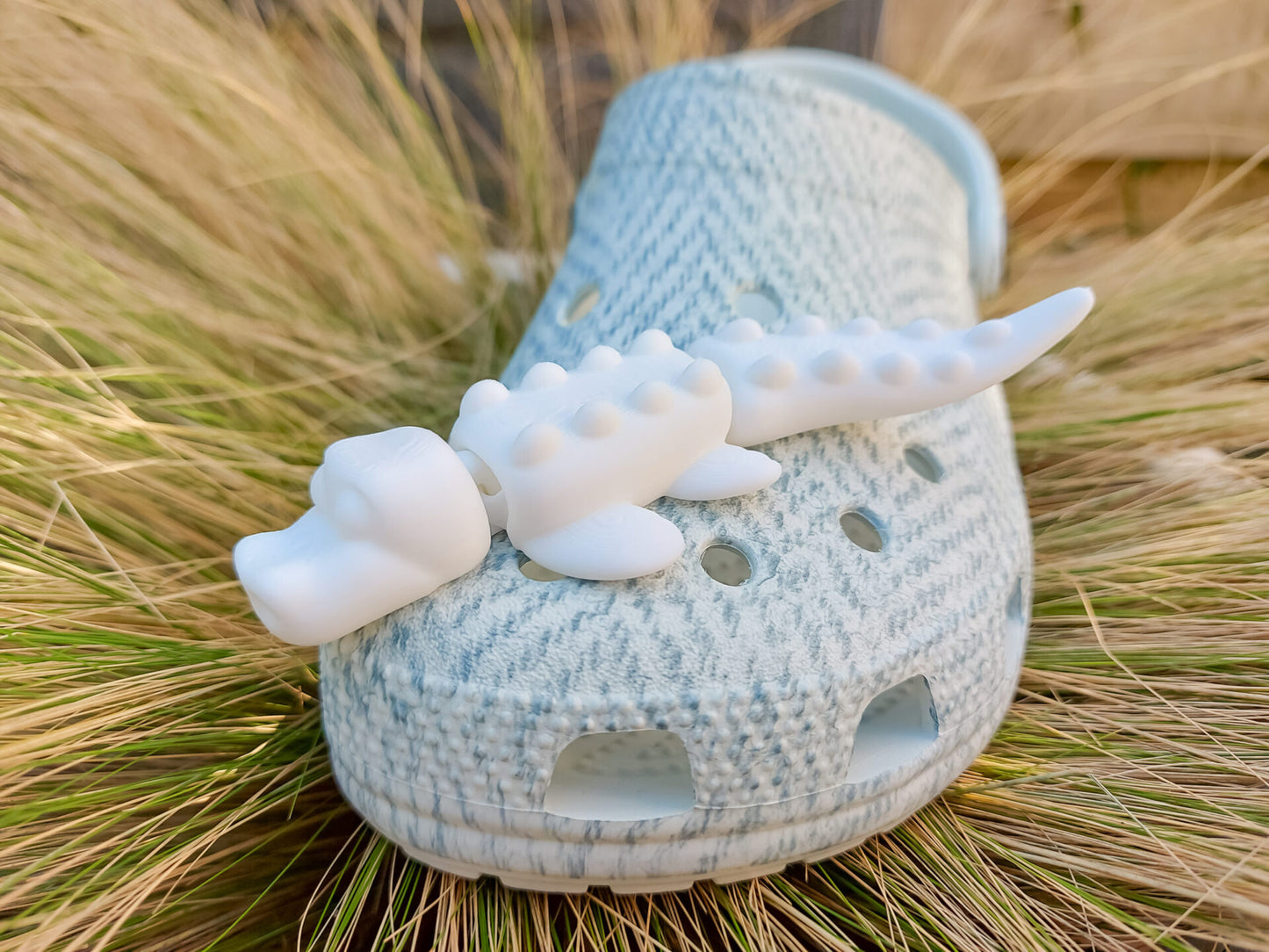 Flexi Crocodile Clog Charm