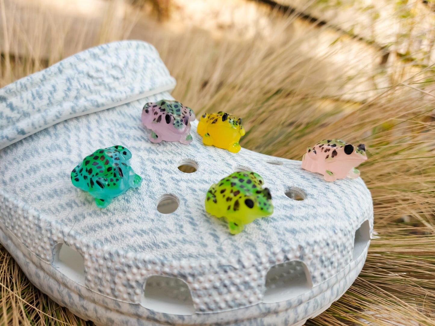 Frog Clog Charms