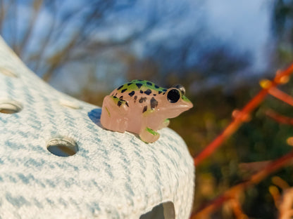 Frog Clog Charms