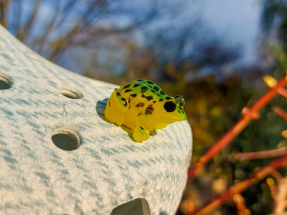 Frog Clog Charms