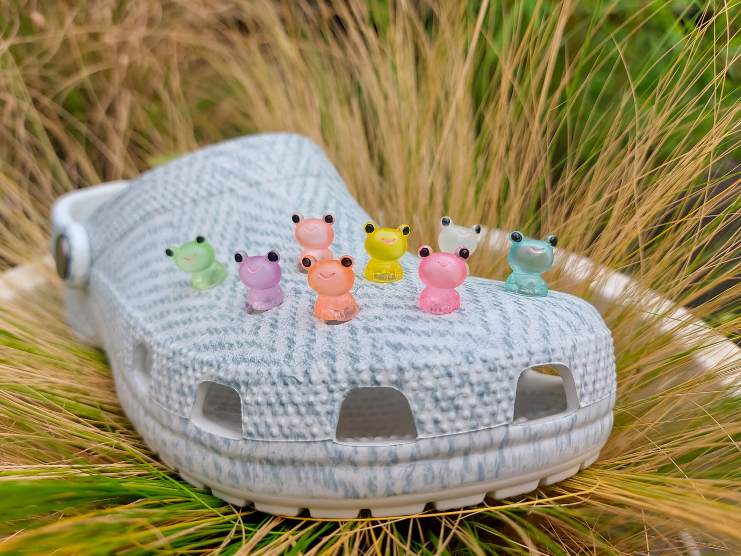 Froggy Clog Charms