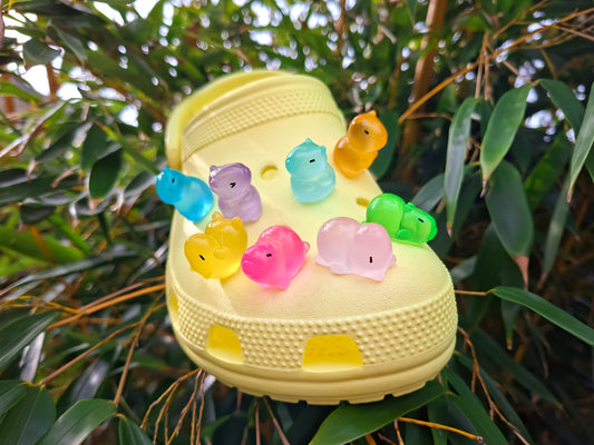 Capybara Clog Charms