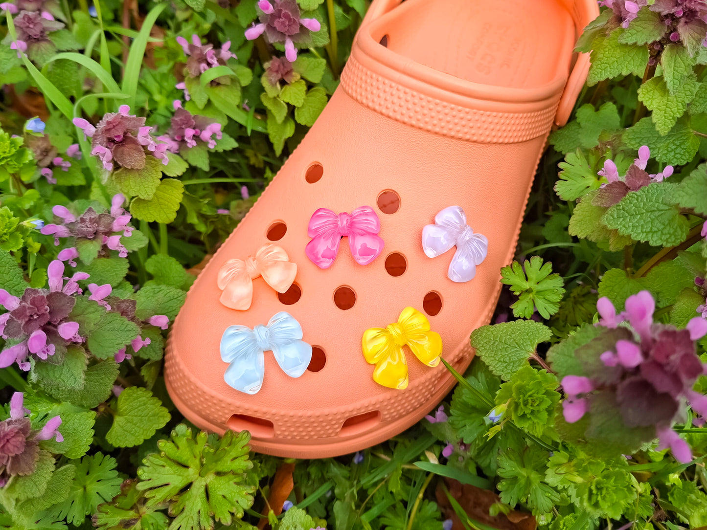 Pastel Mini Bow Clog Charms