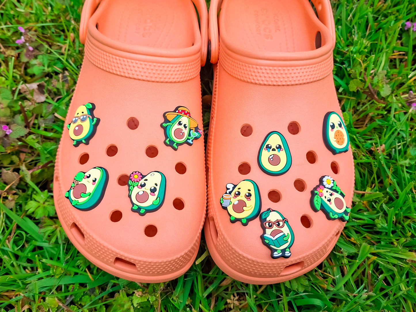 Avocado Clog Charms