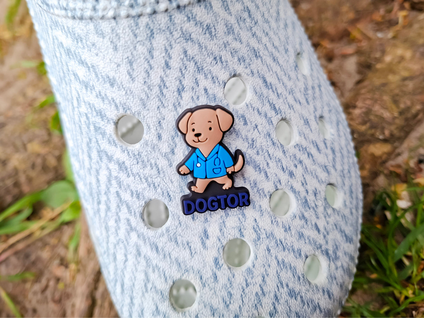 Vet Pet Care Clog Charms