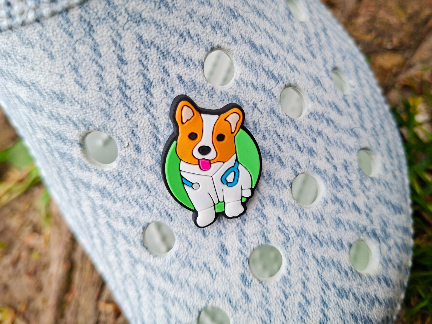 Vet Pet Care Clog Charms