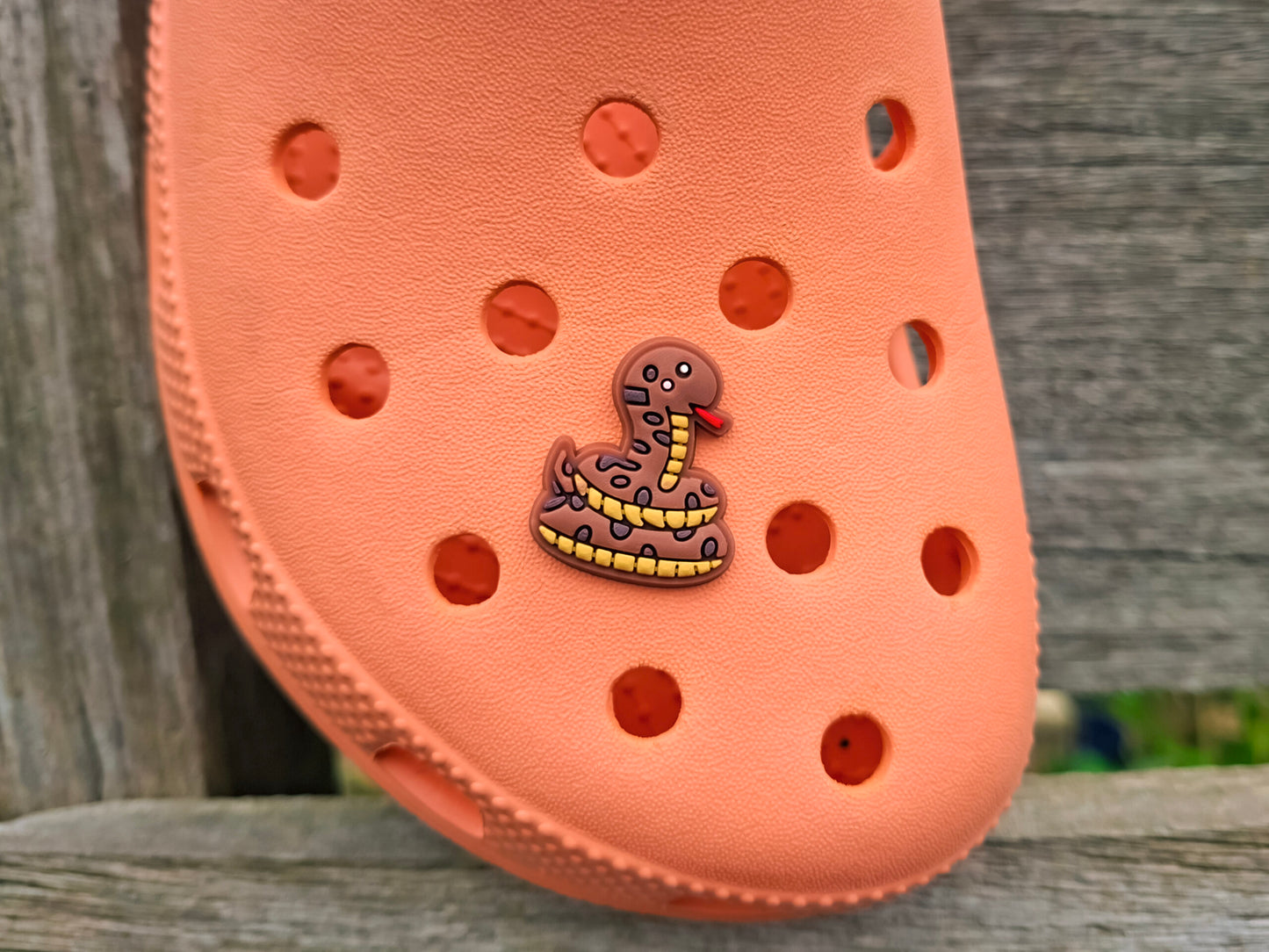 Jungle Animal Clog Charms