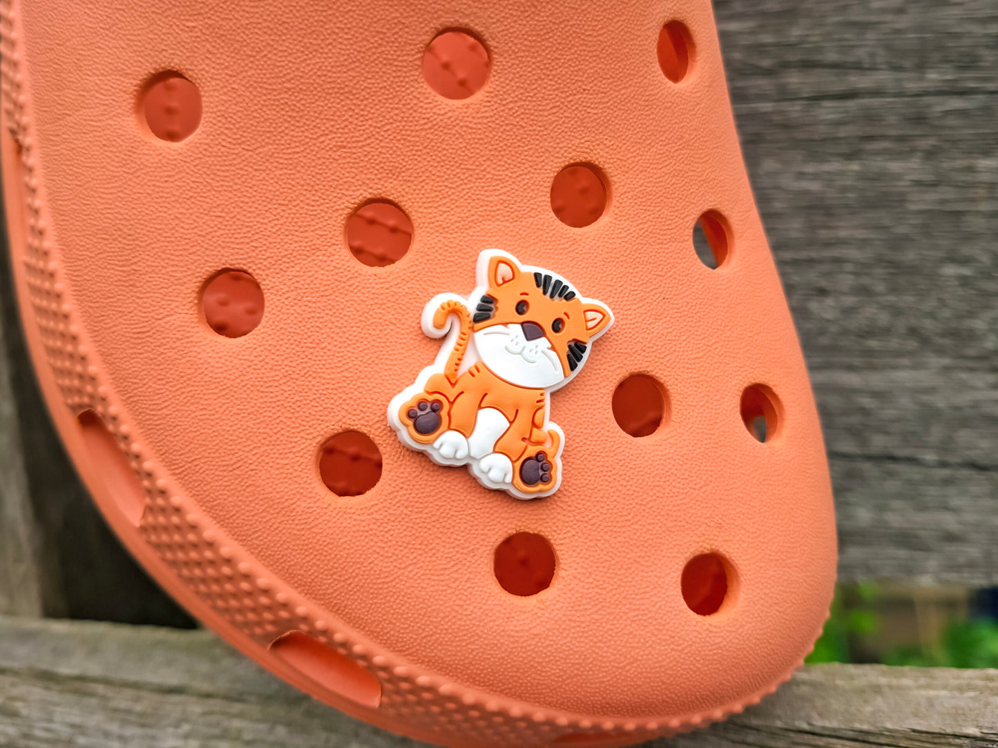 Jungle Animal Clog Charms