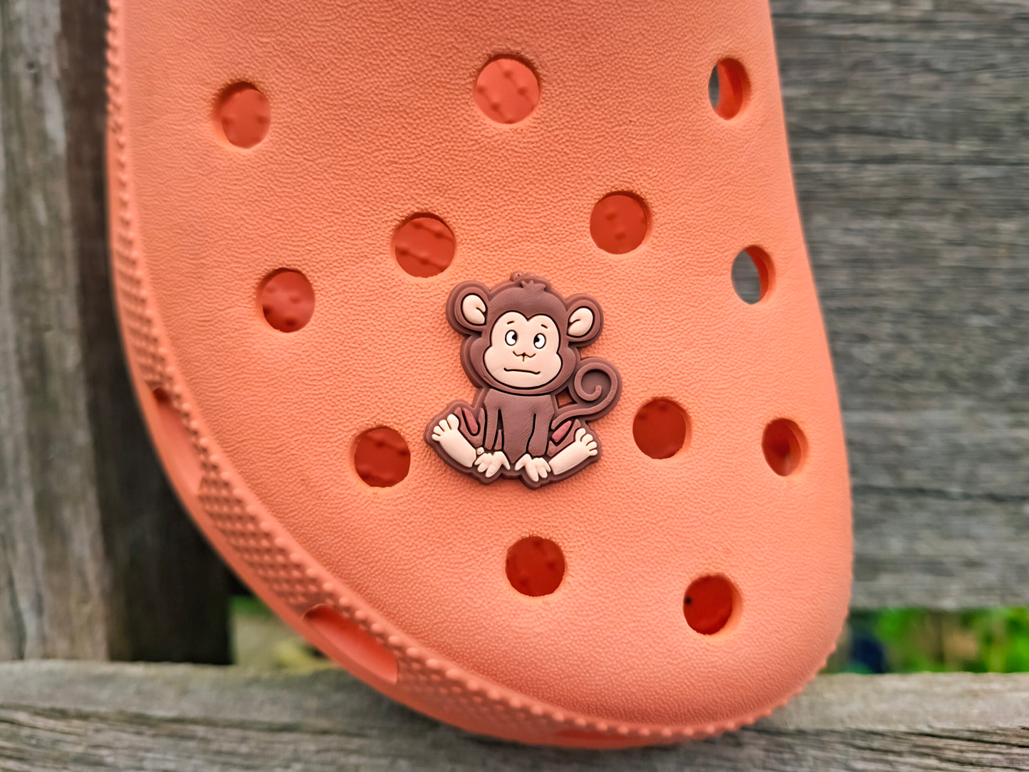 Jungle Animal Clog Charms