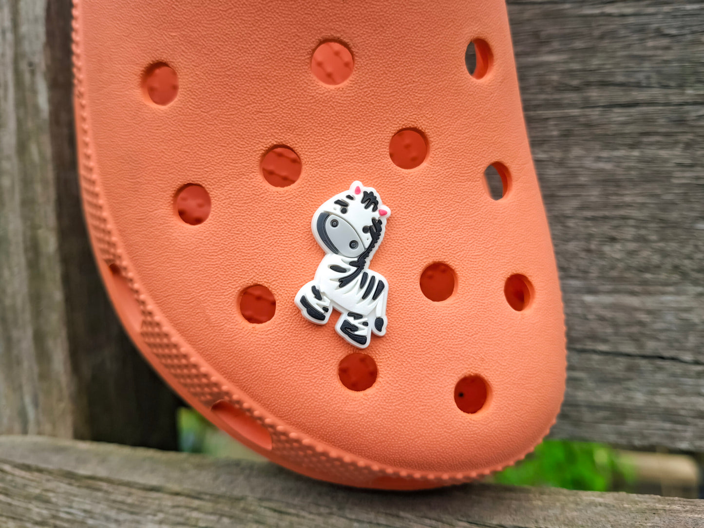 Jungle Animal Clog Charms