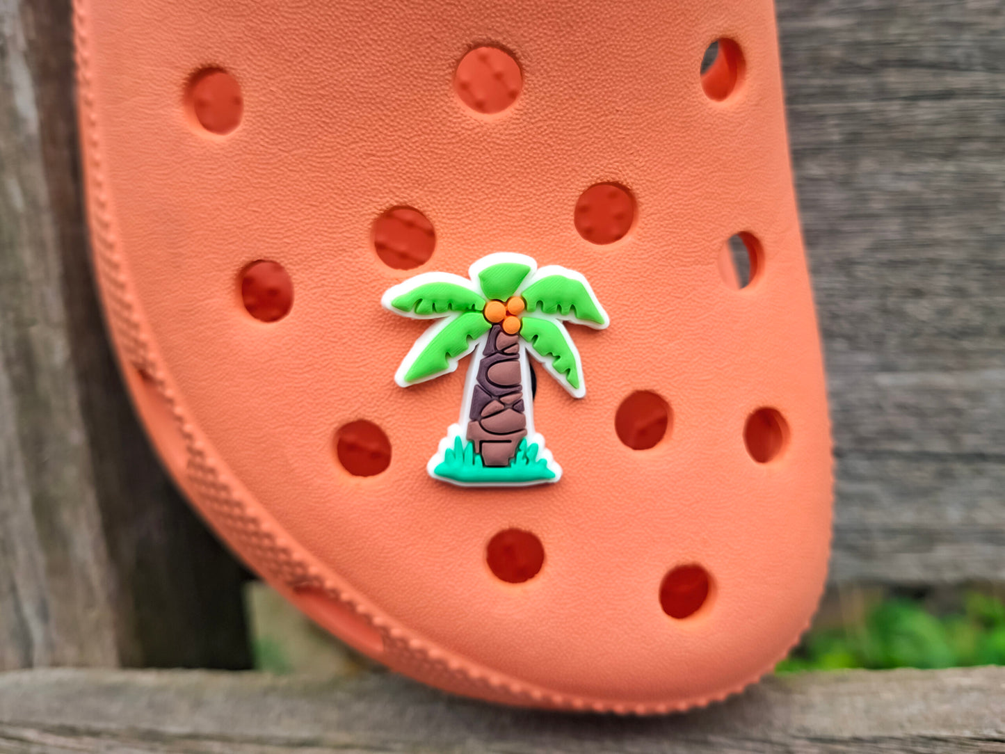 Jungle Animal Clog Charms