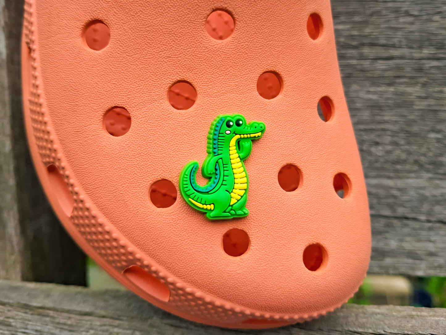 Jungle Animal Clog Charms