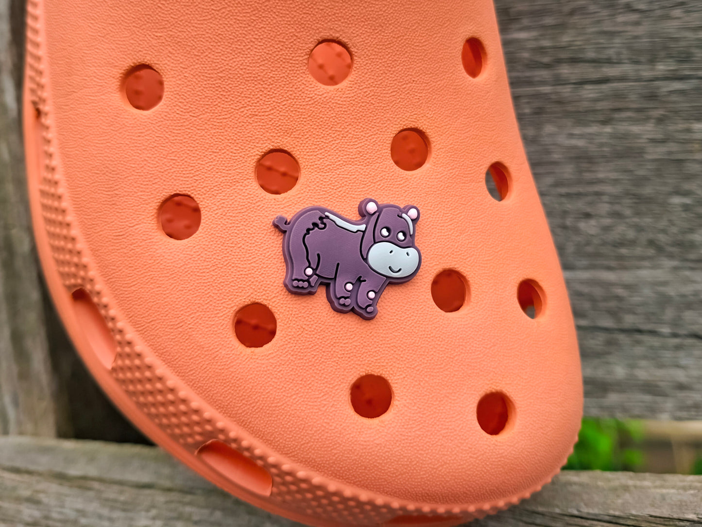 Jungle Animal Clog Charms