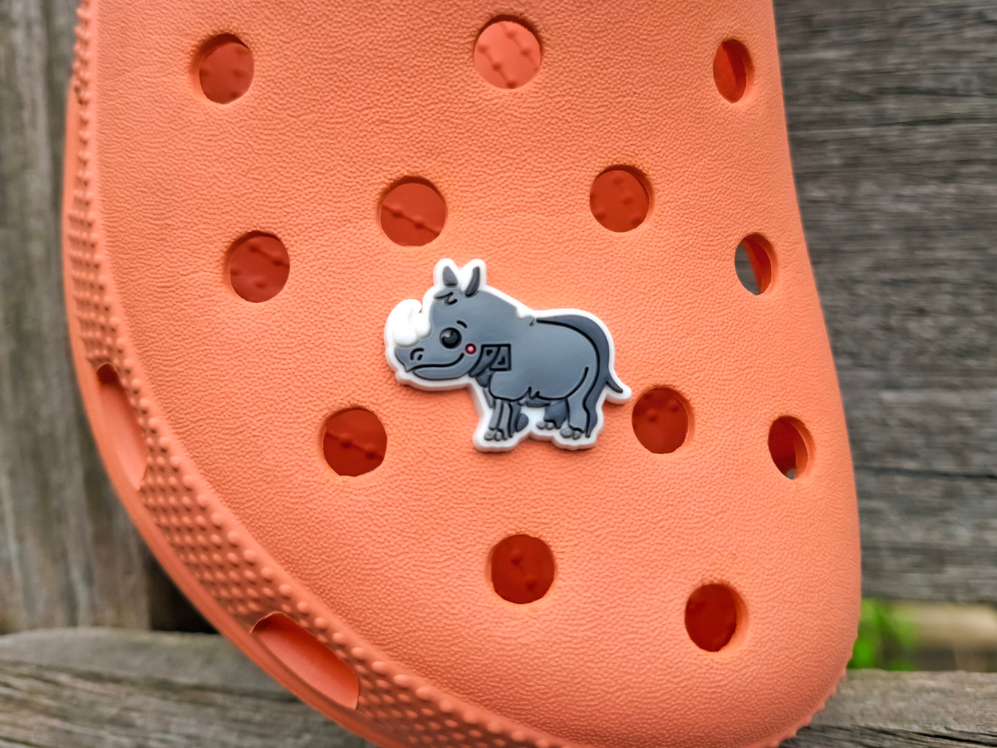 Jungle Animal Clog Charms