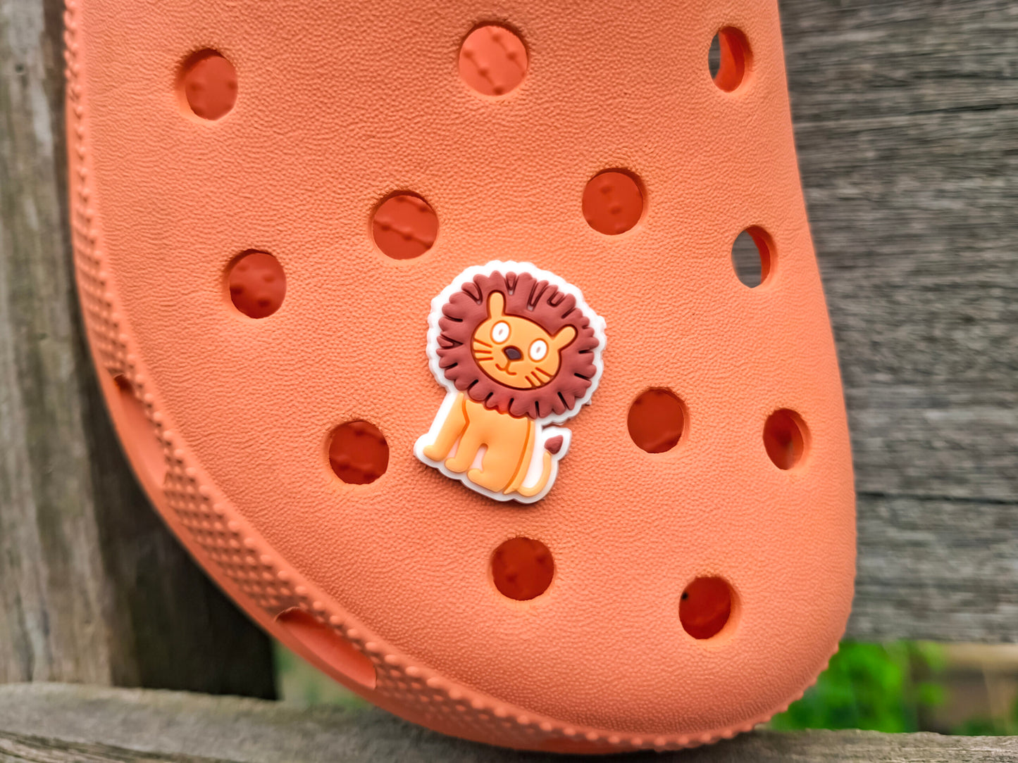 Jungle Animal Clog Charms