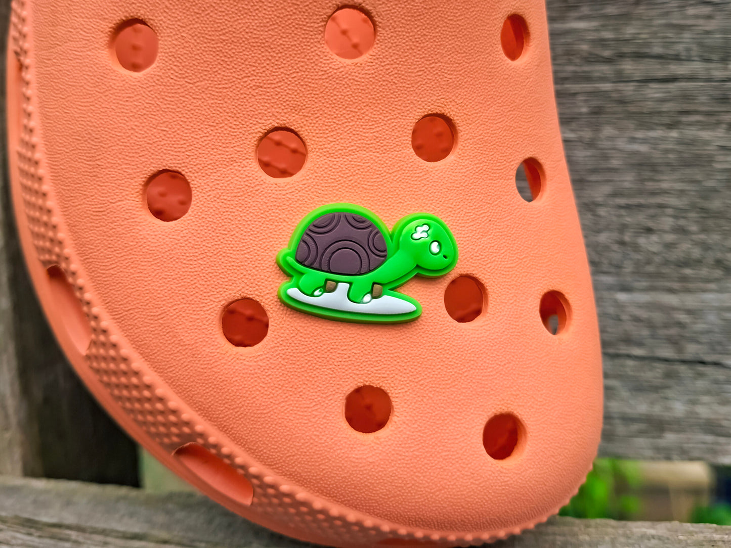 Jungle Animal Clog Charms
