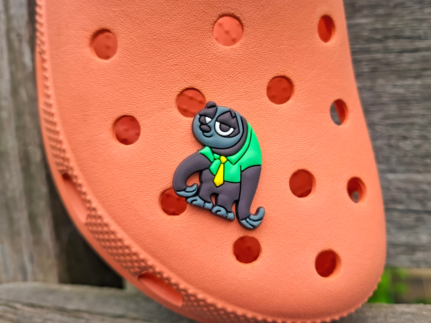 Jungle Animal Clog Charms