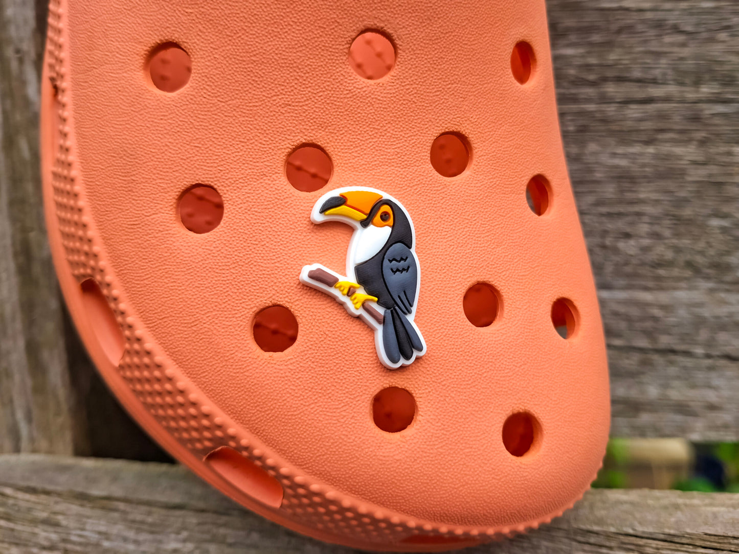 Jungle Animal Clog Charms