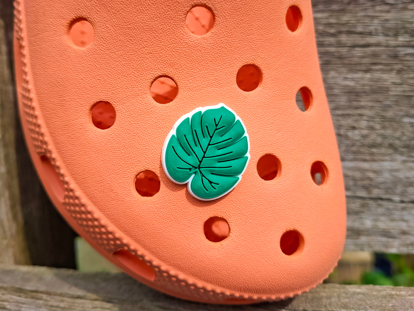 Jungle Animal Clog Charms
