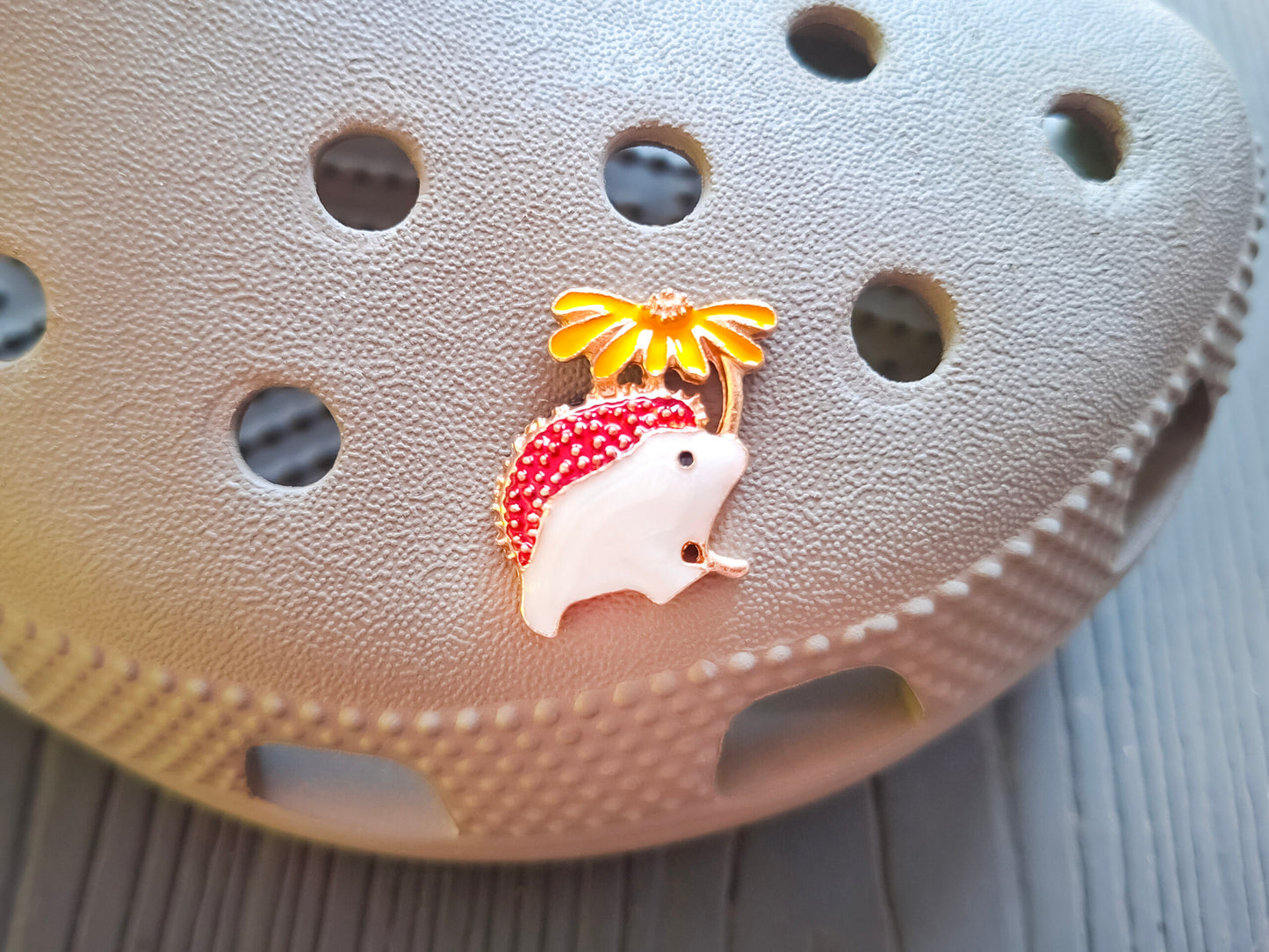 Autumn Clog Charms