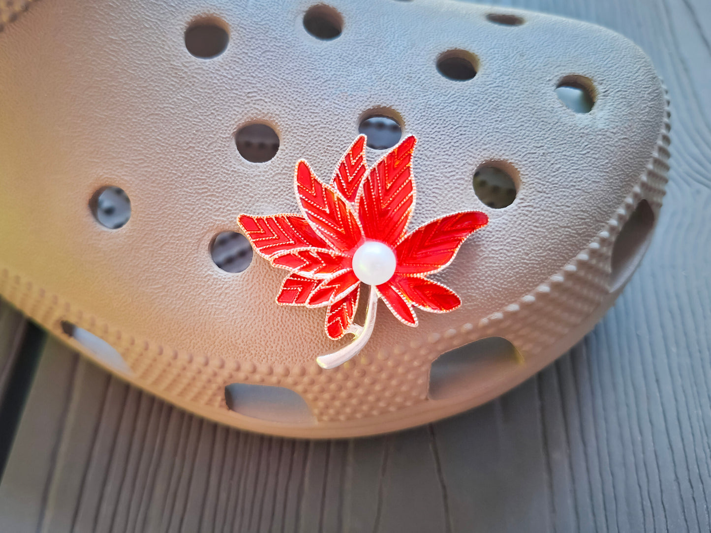 Autumn Clog Charms