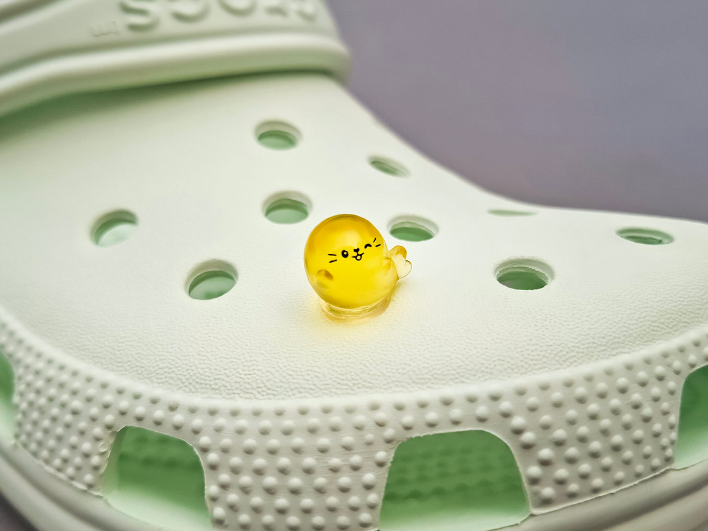 Glow In The Dark Seal Clog Charms