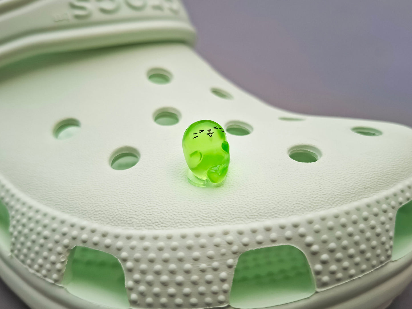 Glow In The Dark Seal Clog Charms
