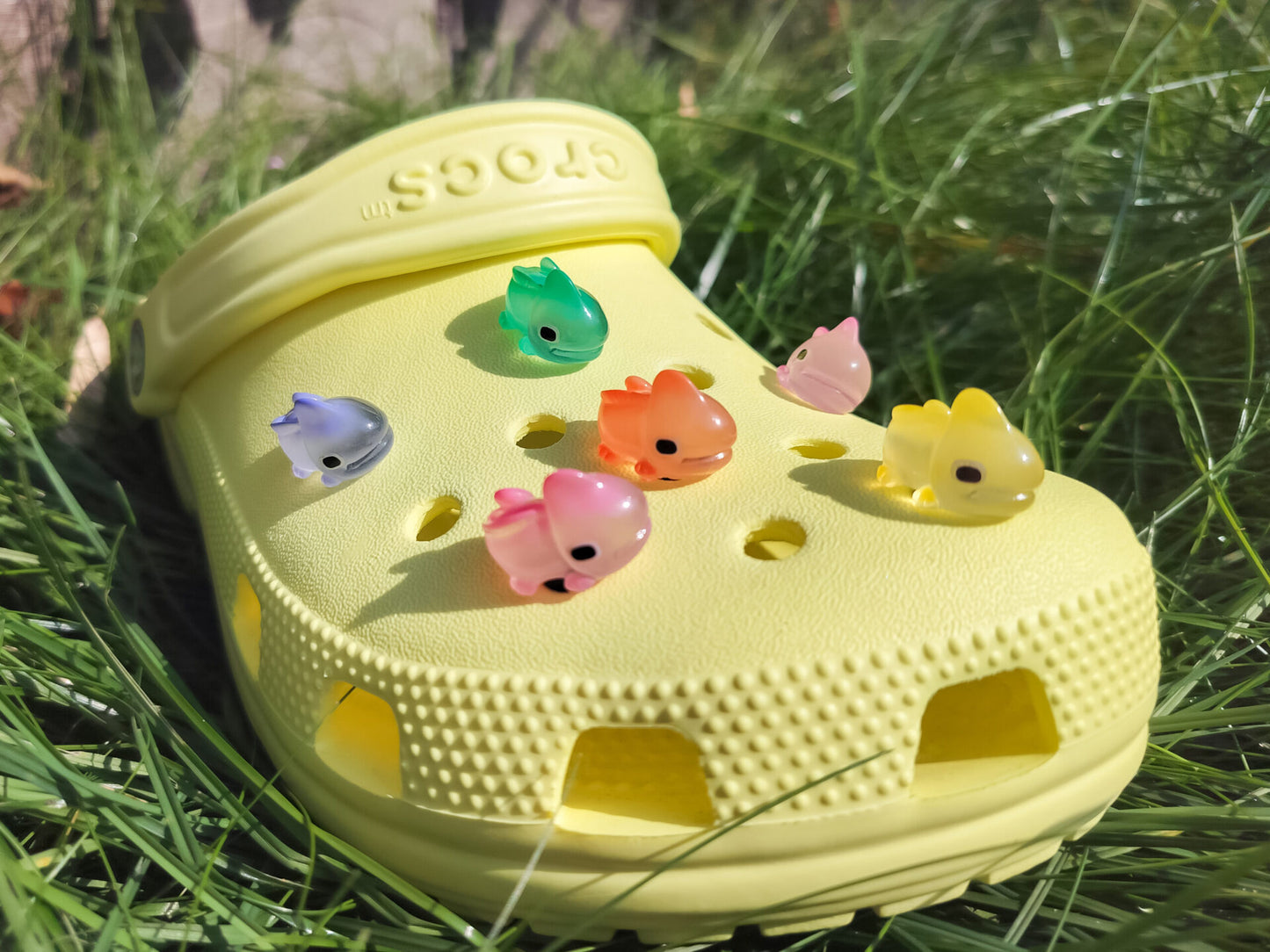 A close-up of a yellow shoe shoe with vibrant glow-in-the-dark chameleon charms in different colors (green, orange, pink, blue, and yellow) displayed outdoors on green grass.