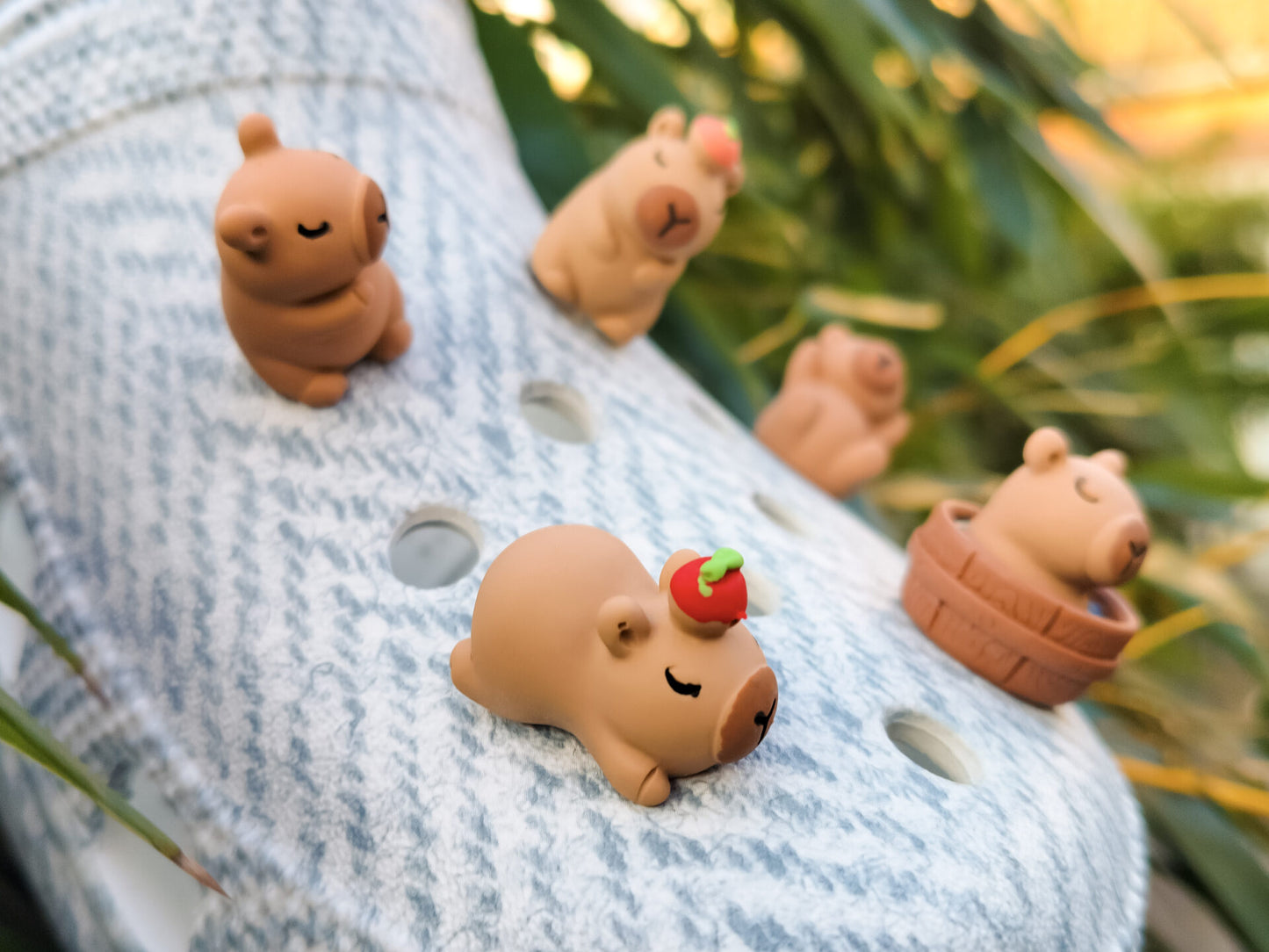 Capybara Clog Charms 5pc Set