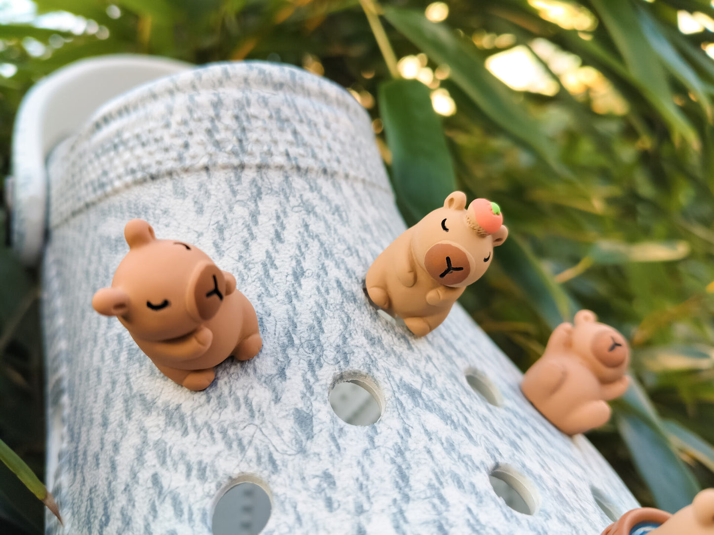 Capybara Clog Charms 5pc Set