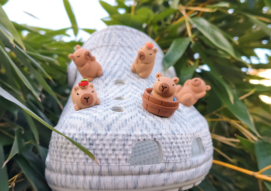 Capybara Clog Charms 5pc Set