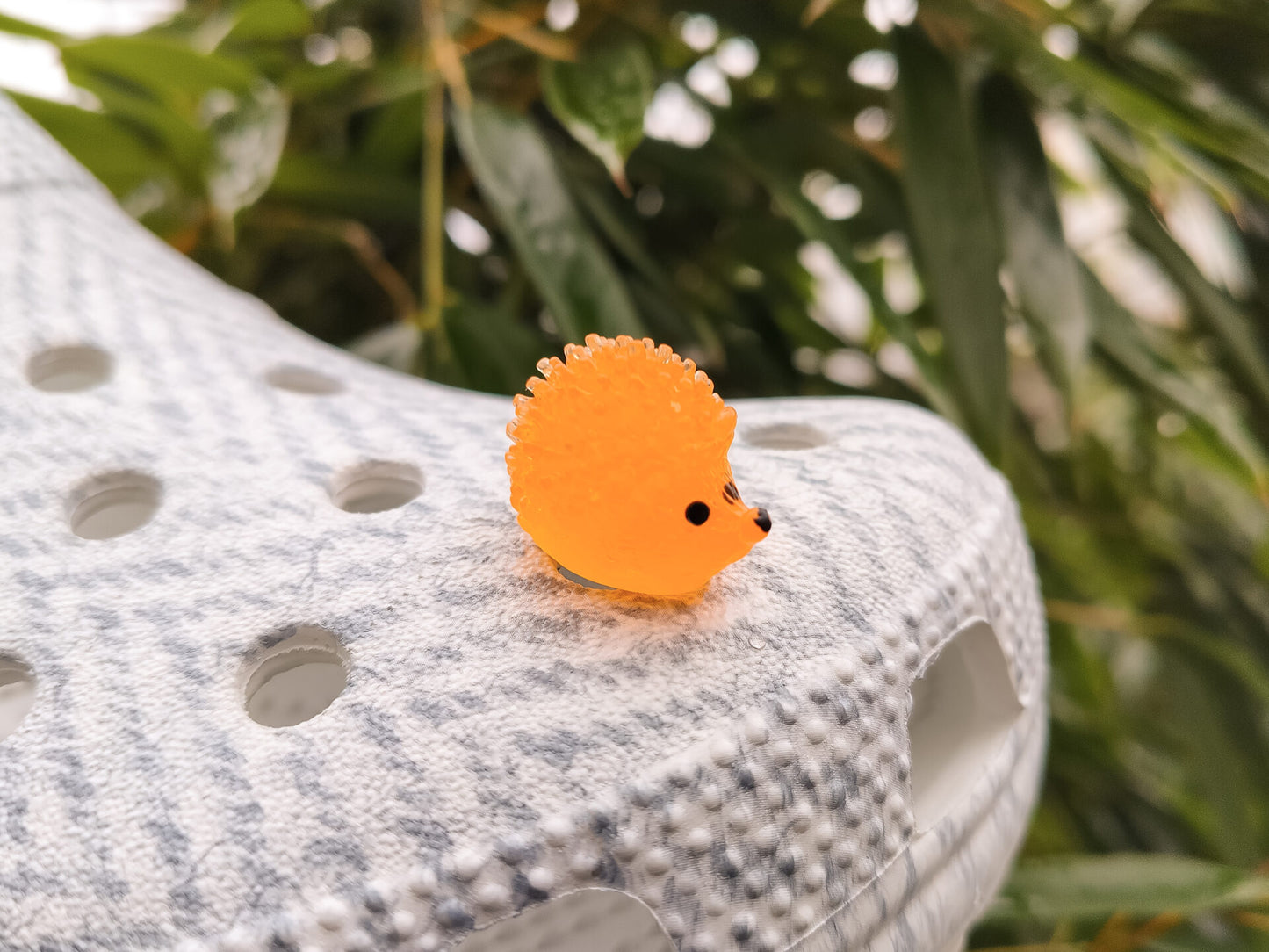 Luminous Hedgehogs Clog Charms