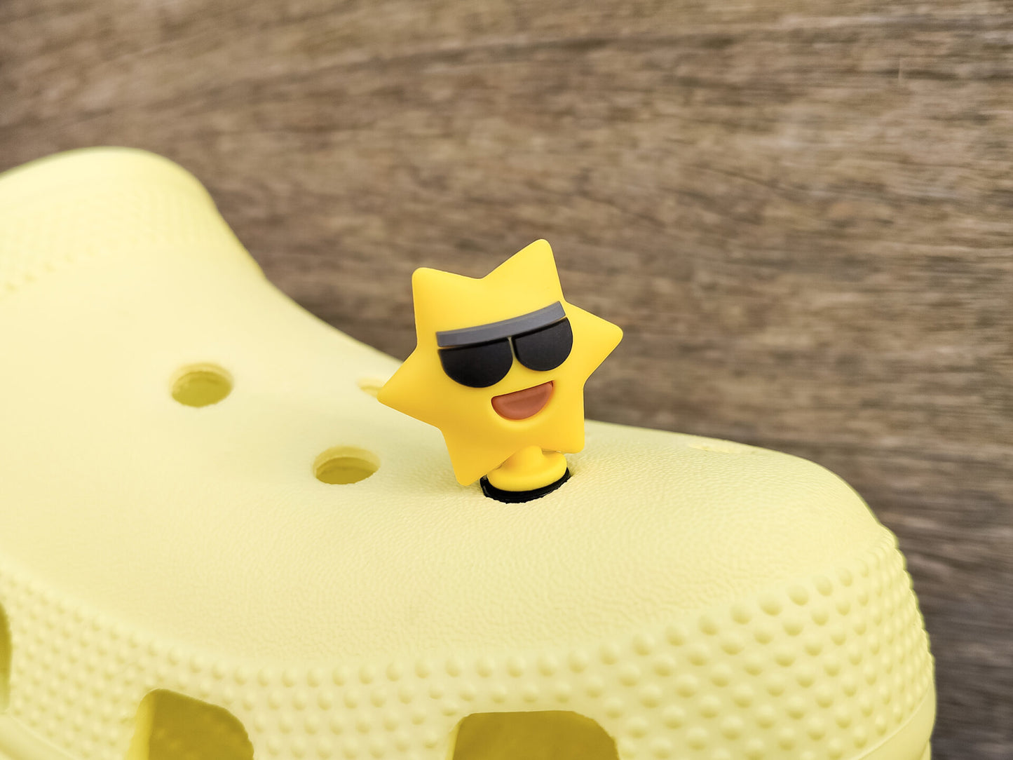 Summer Holiday Clog Charms