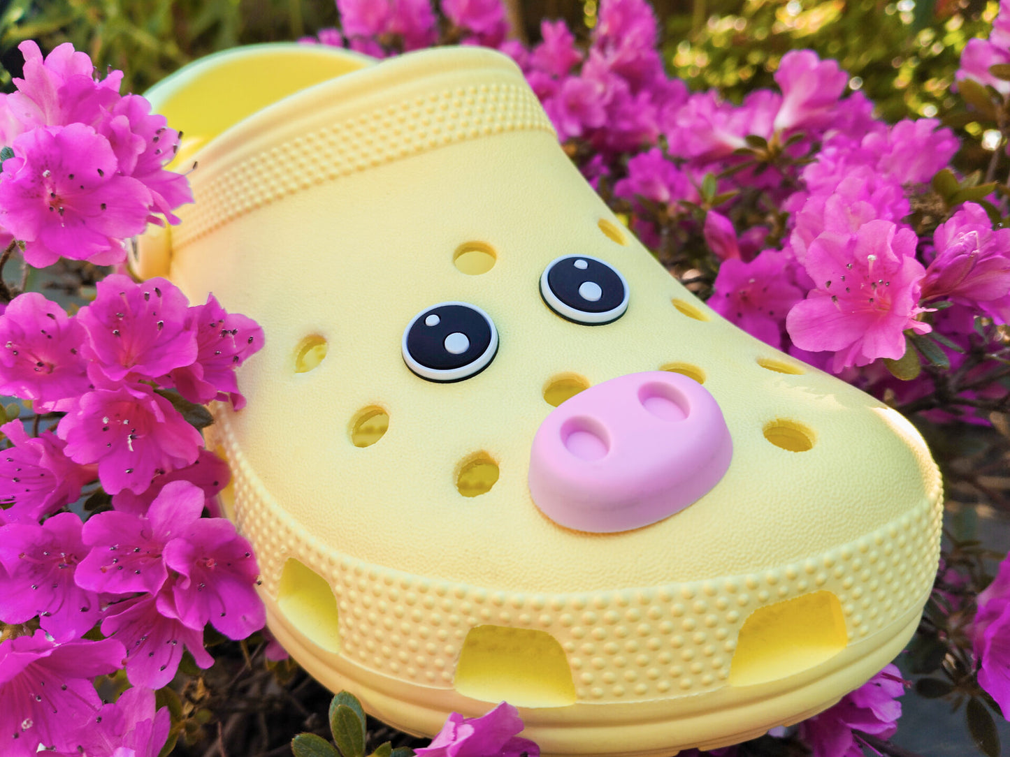 Piggy Snout Clog Charms