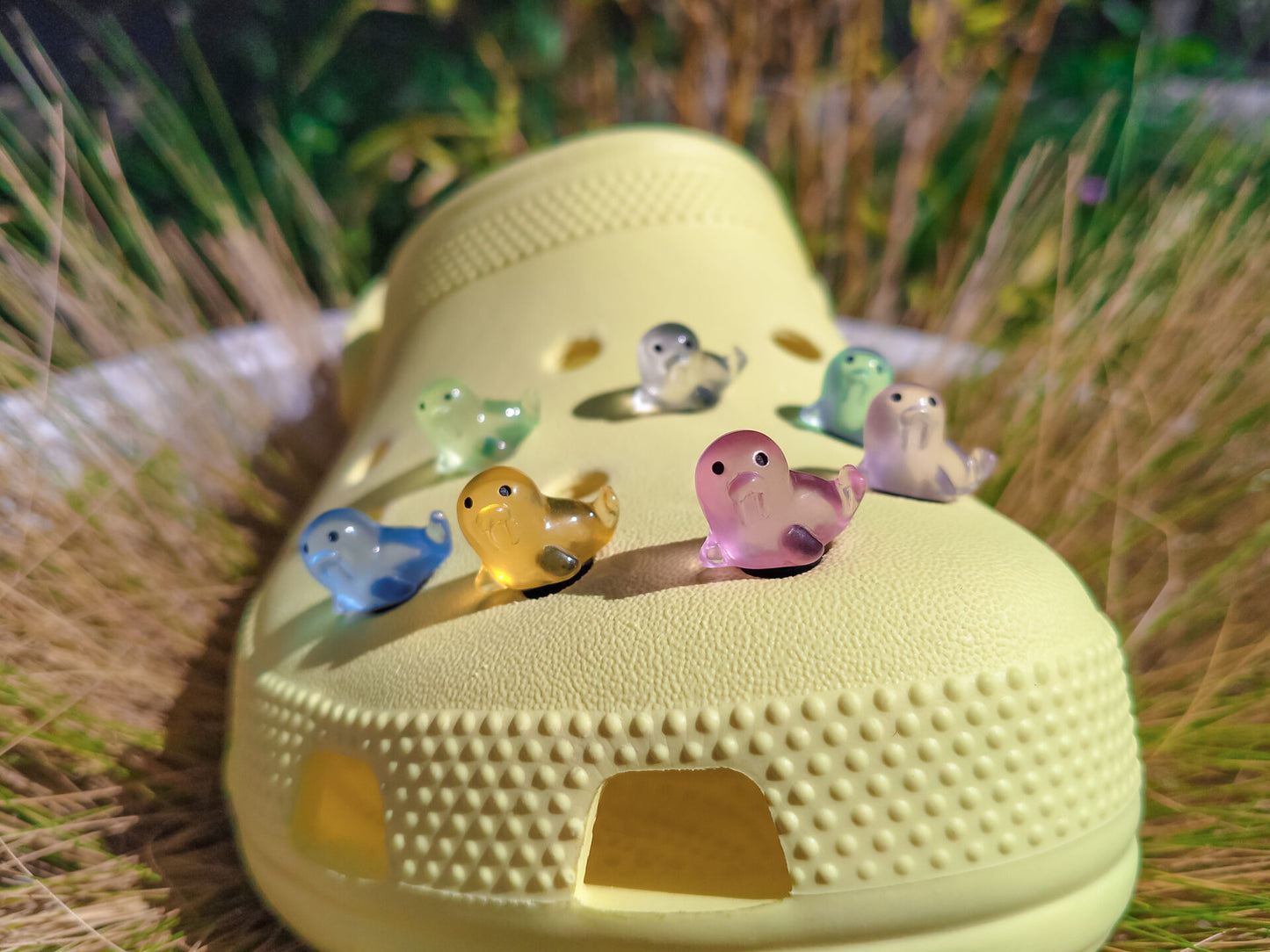 Walrus Clog Charms