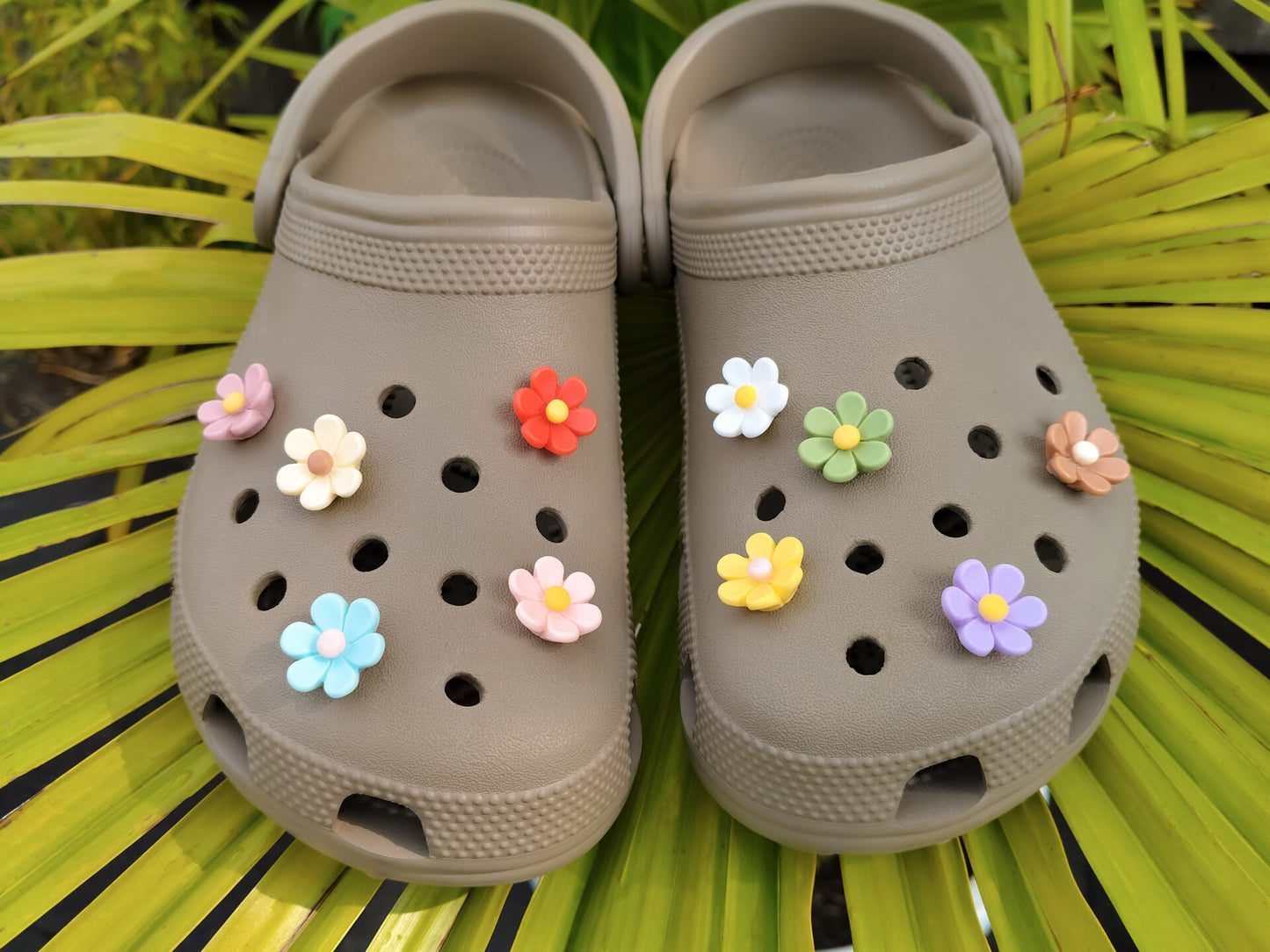 Daisy Flowers Clog Charms