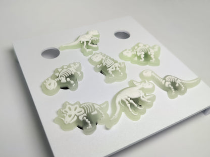 Dinosaur Skeleton Clog Charms