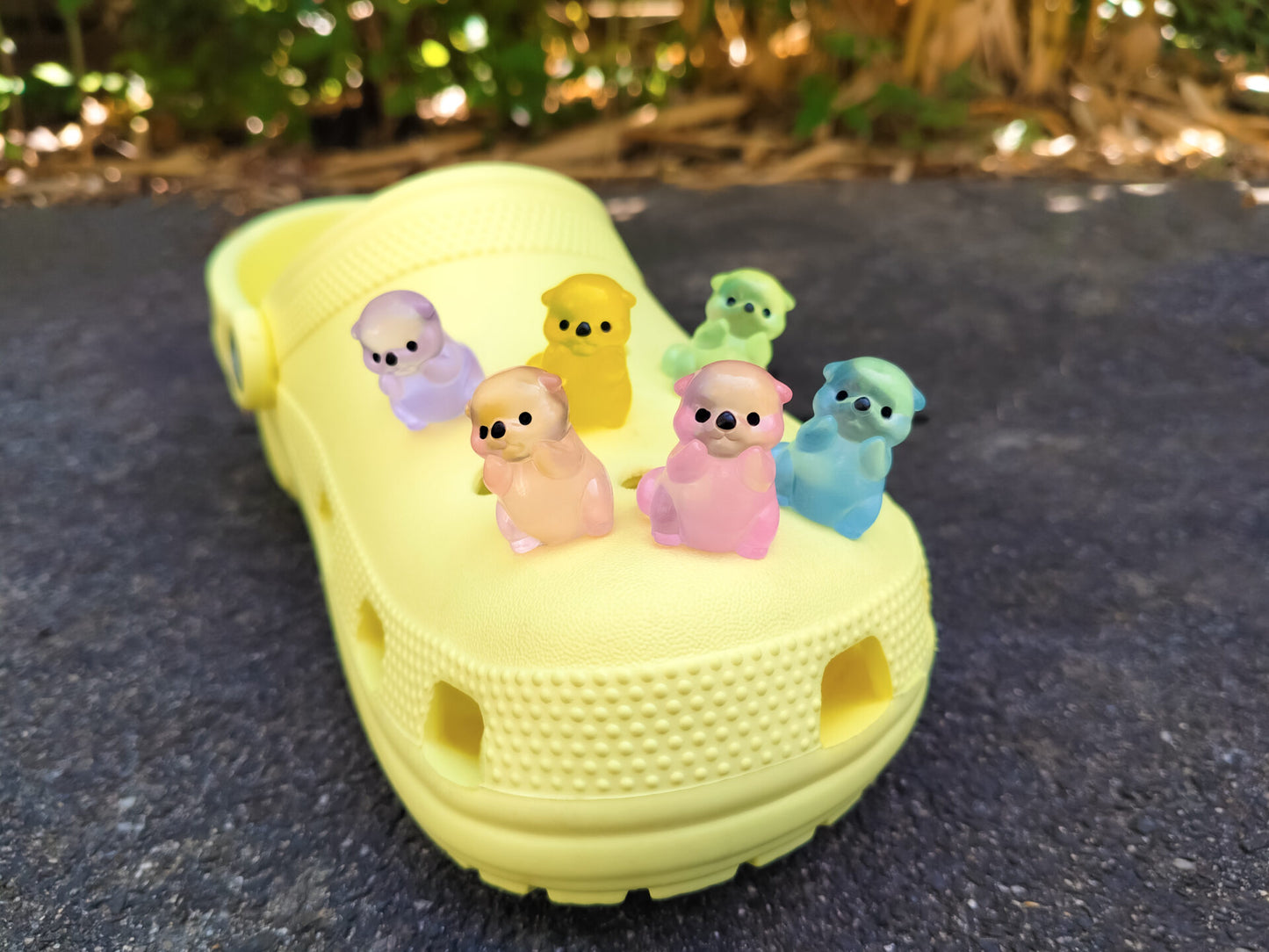 Otter Clog Charms
