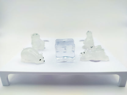 Polar Bears Clog Charms 5pc Set