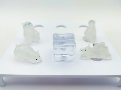 Polar Bears Clog Charms 5pc Set
