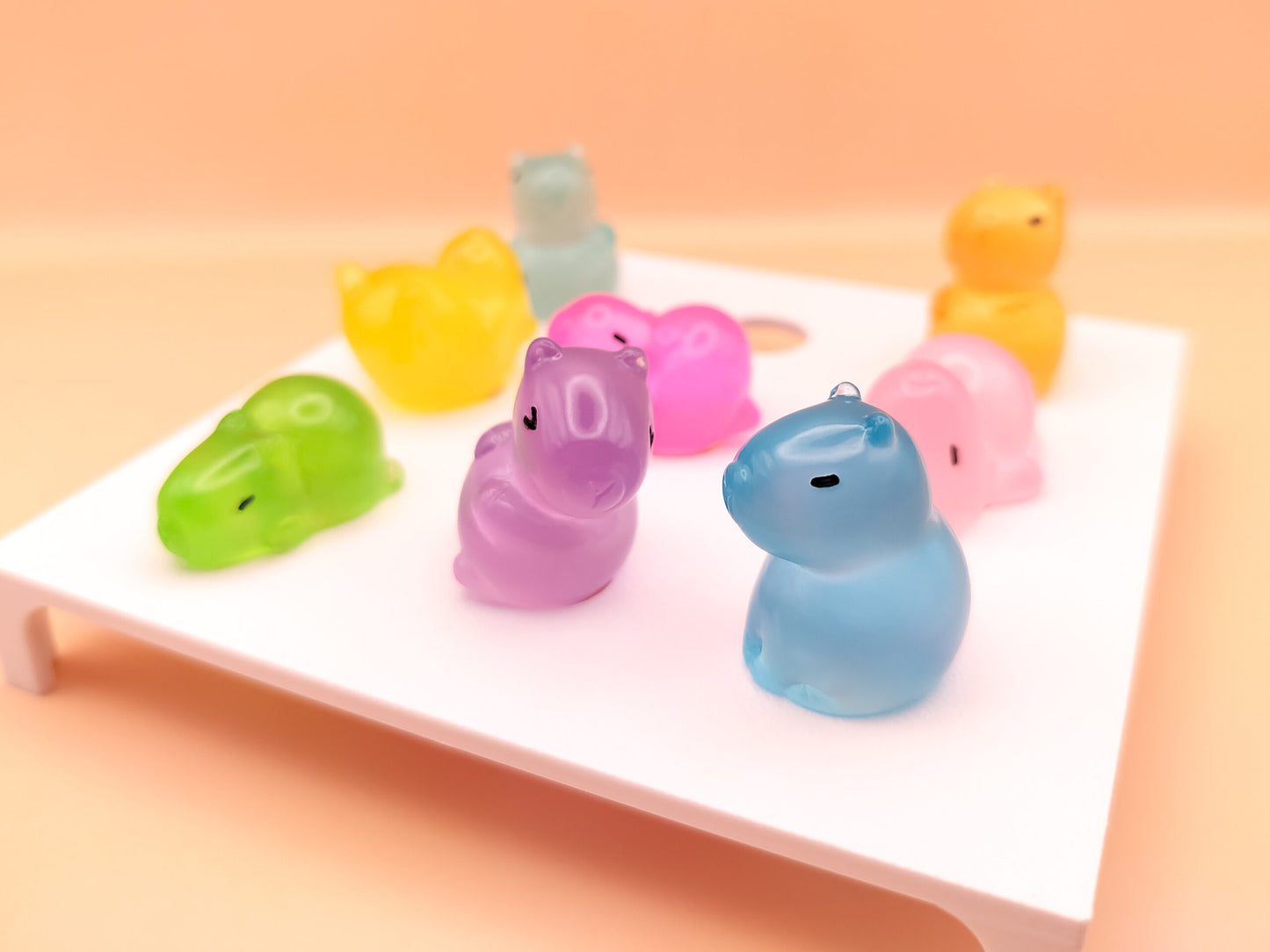 Capybara Clog Charms